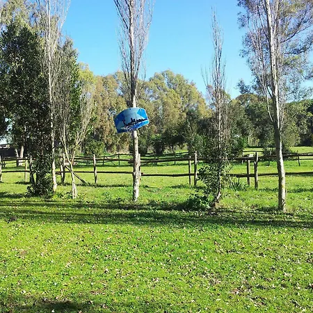 Rodrigo De Vivar